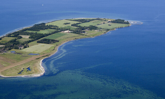 image: Taper gigantsum på luksusøy